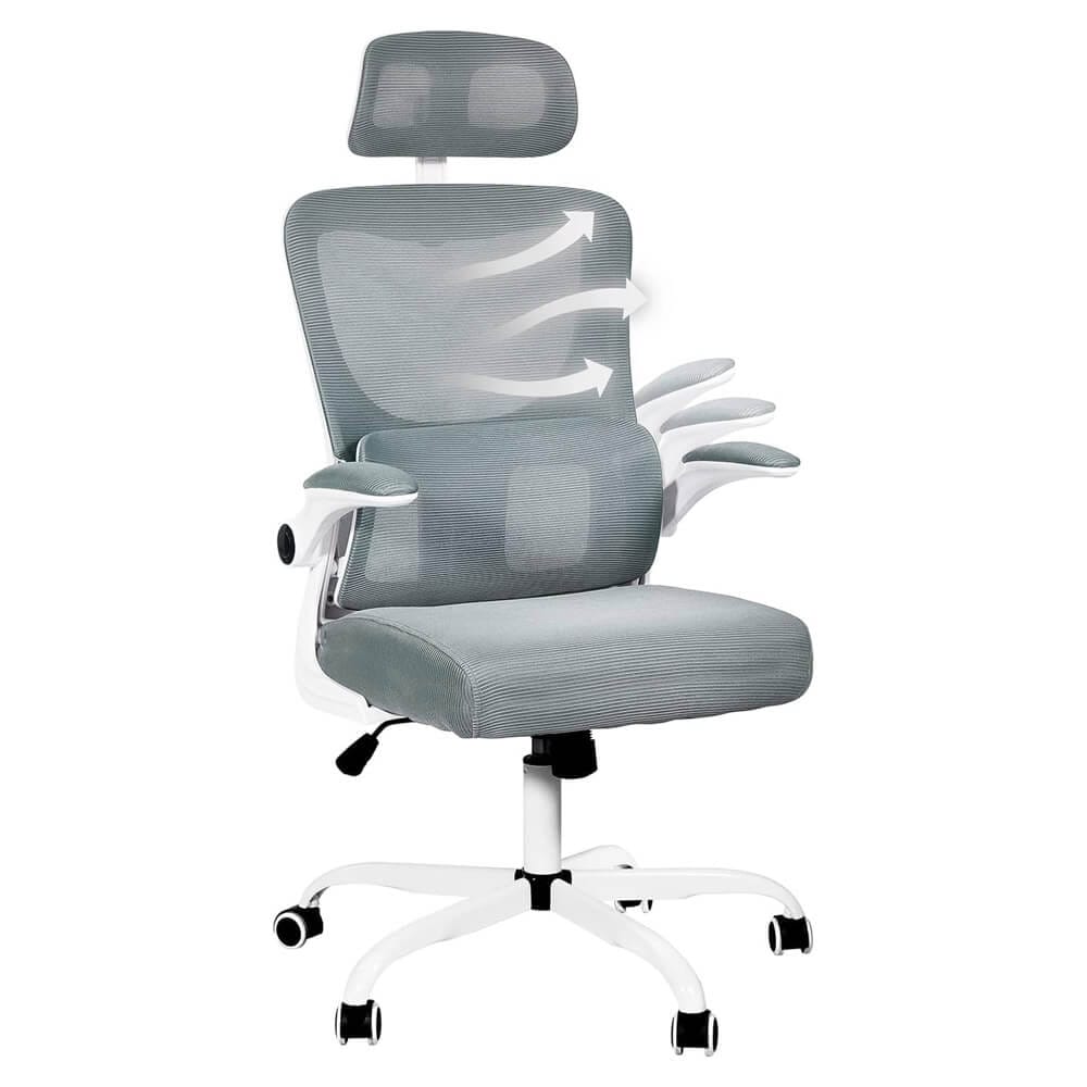 DualThunder Ergonomic Office Chair with Lumbar Support, Gray/White