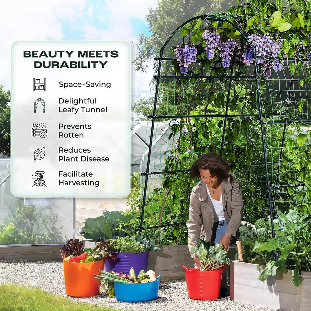 Idzo Plastic Arch Trellis Tunnel, 71" x 65" x 88"