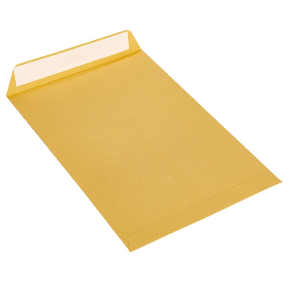 Office Direct 9" x 12" Peel and Stick Kraft Envelopes, 12-Count