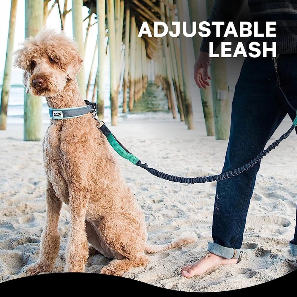 Black Rhino Hands Free Dog Leash, Gray/Aqua
