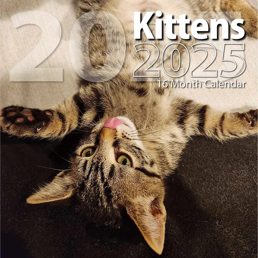 2025 Kittens Themed 16 Month Wall Calendar, 12"