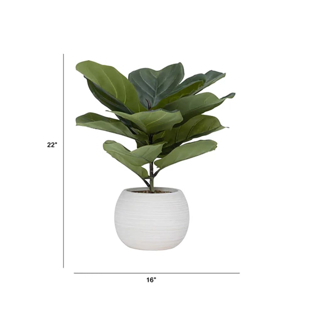 Vintage Home 16" Fiddle Leaf Fig Trees in Beige Ceramic Pots, 2 Pack