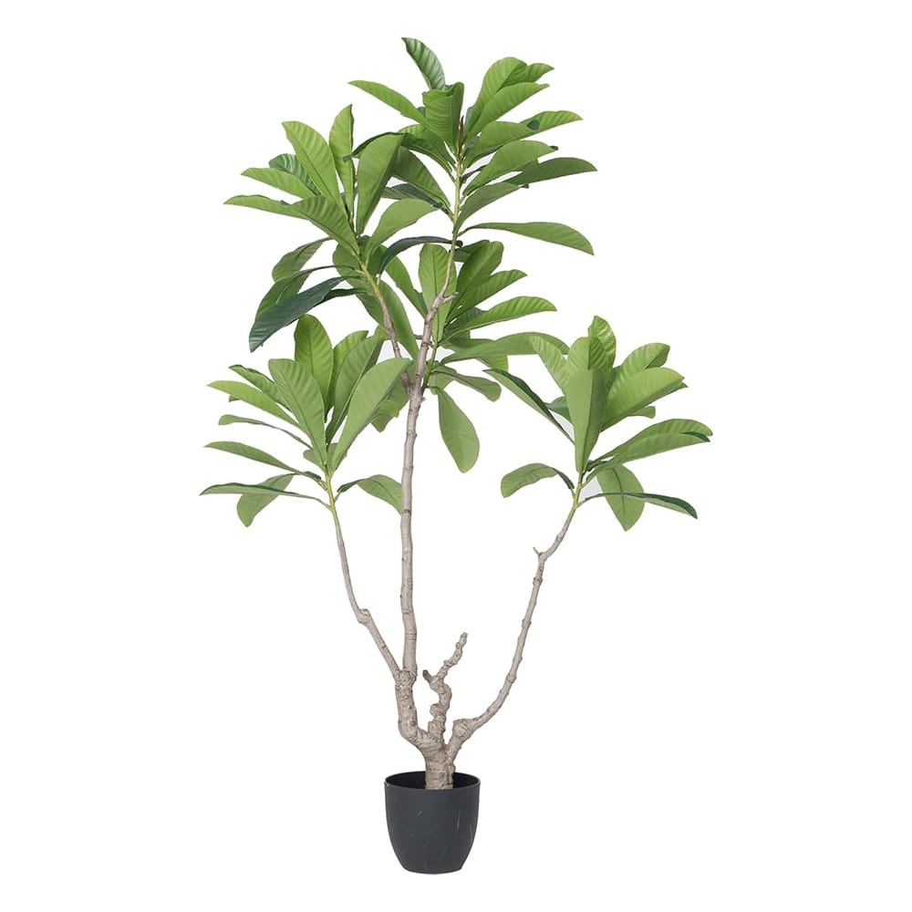 Vintage Home 70" Japanese Blueberry Tree in a Black Pot