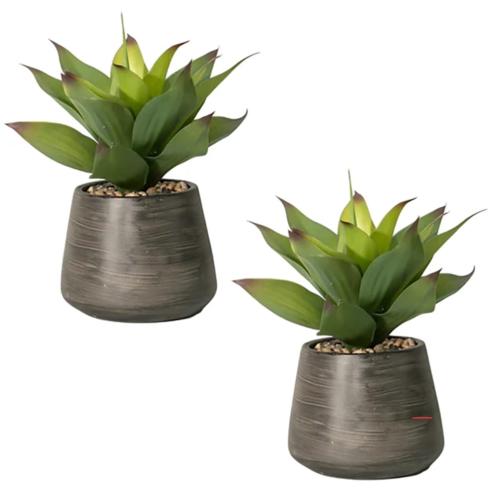Vintage Home 16" Agave Plant in Cement Vase, 2 Pack