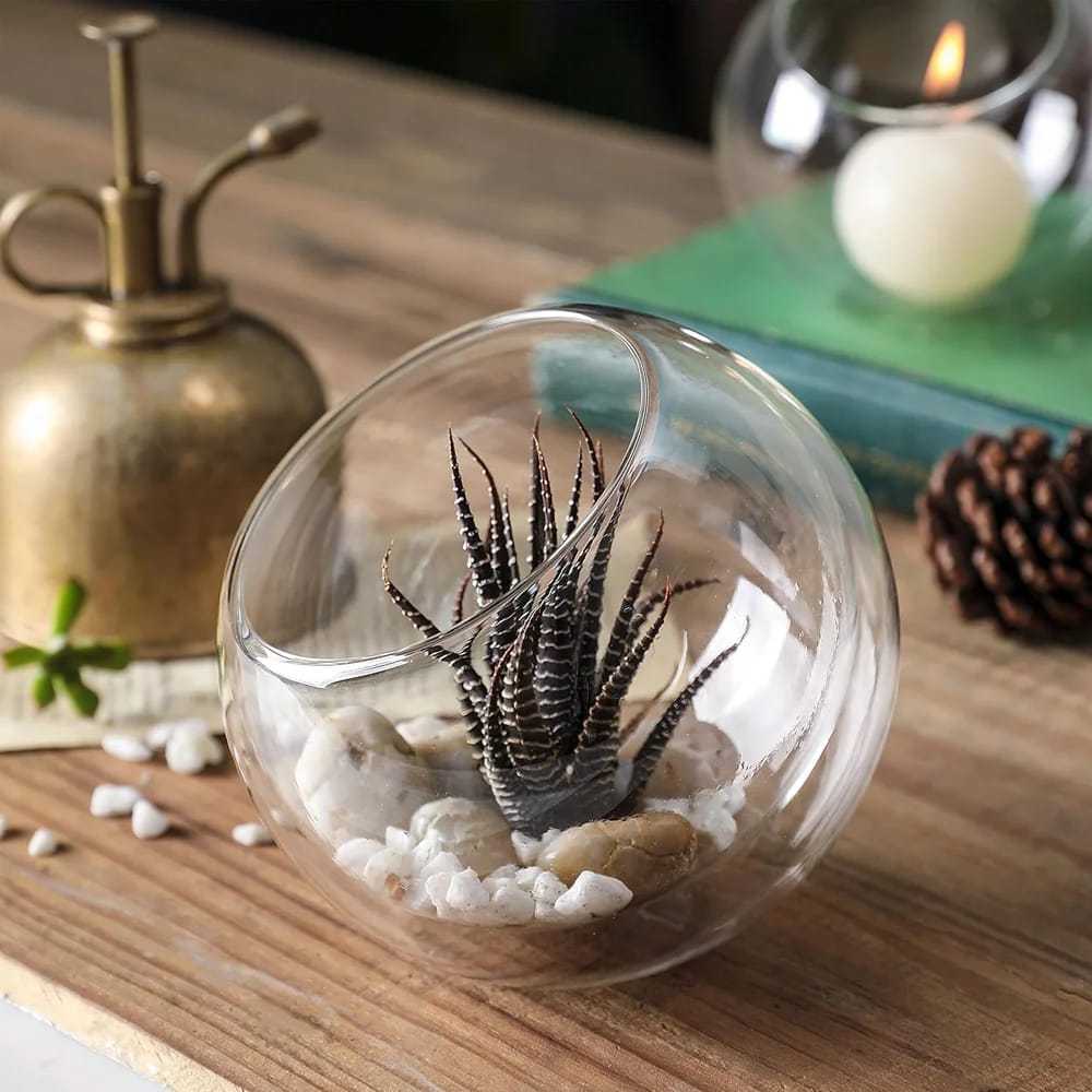 Whole Housewares Double Wall Glass Slant Bowls, Set of 3