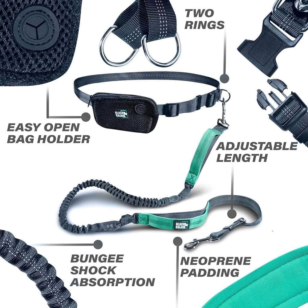 Black Rhino Hands Free Dog Leash, Gray/Aqua