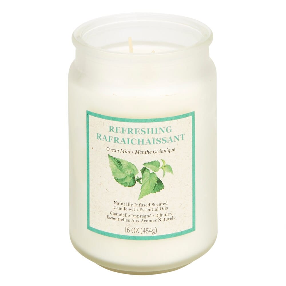 Refreshing Rafraichaissant Ocean Mint Scented Candle, 16 oz