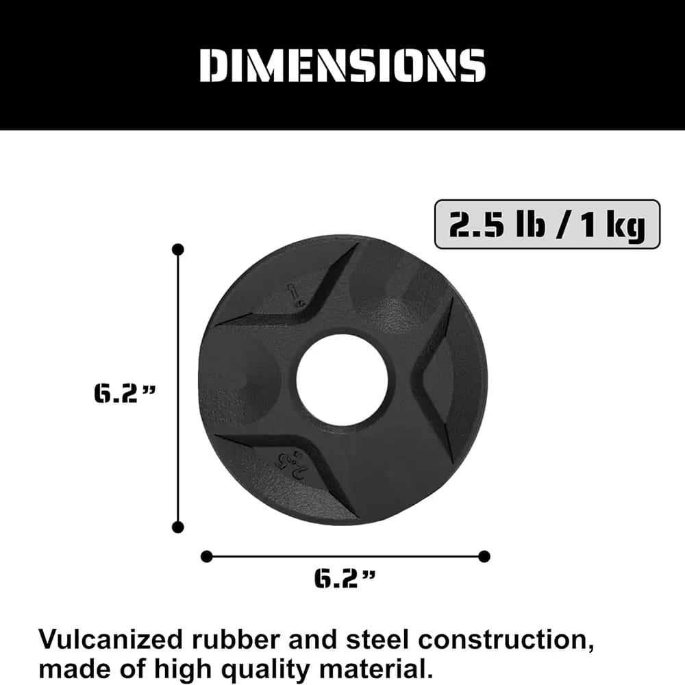 TRIBE WOD 2.5 lb. Cast Iron Plate Weight