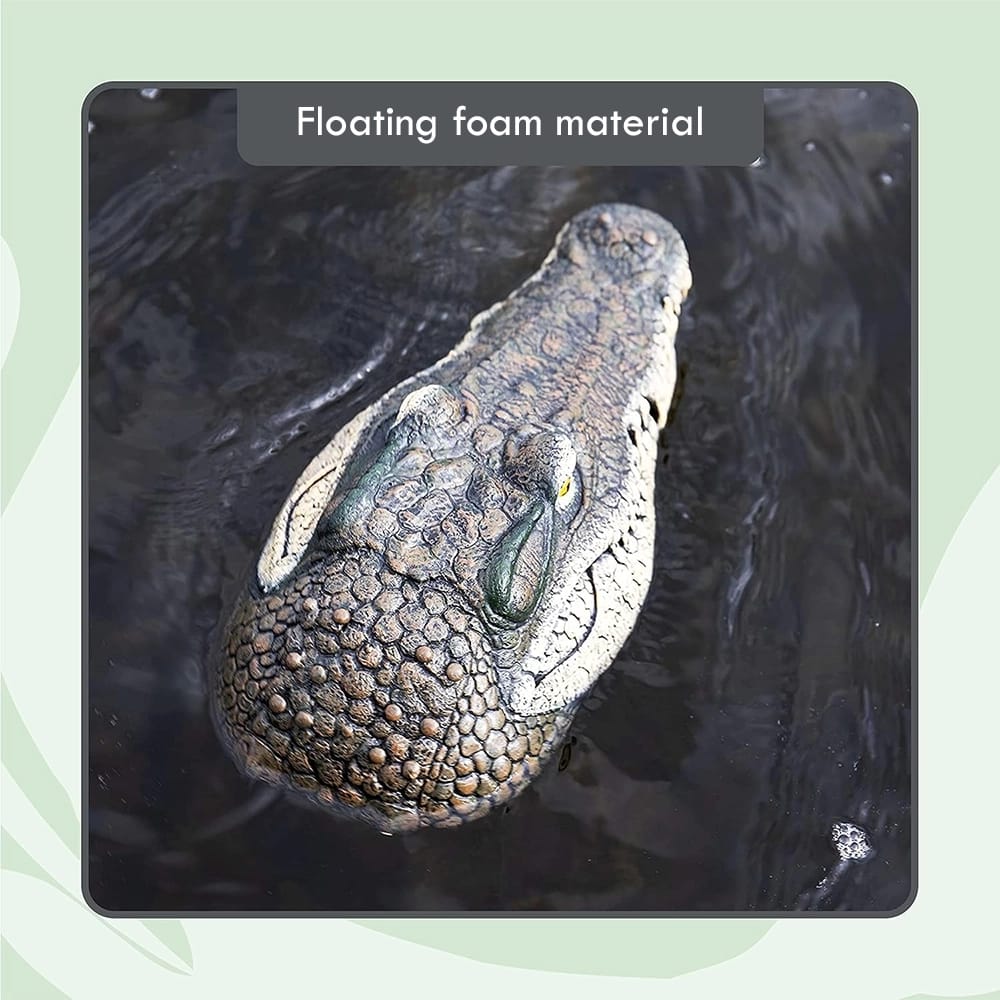 Floating Crocodile Head