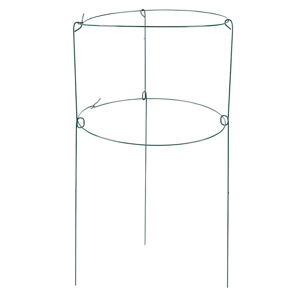 Peony Double Ring Plant Support, 18" x 36"