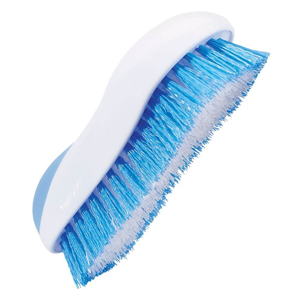 Gleam Oval Scrub Brush