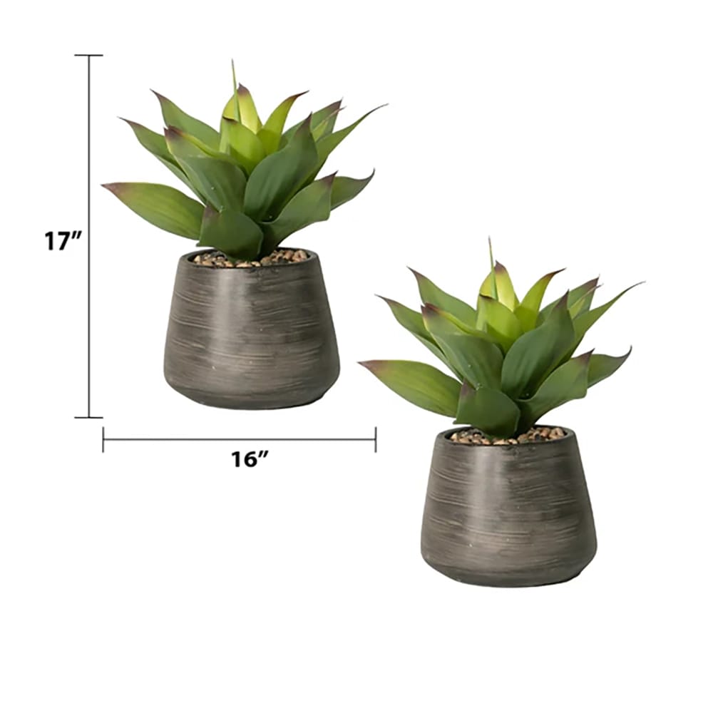 Vintage Home 16" Agave Plant in Cement Vase, 2 Pack