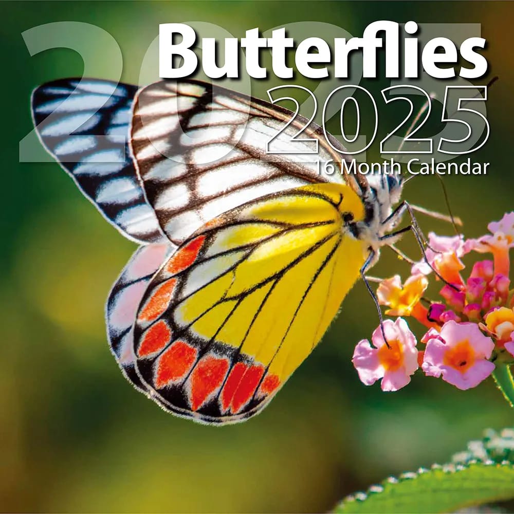 2025 Butterflies Themed 16 Month Wall Calendar, 12"