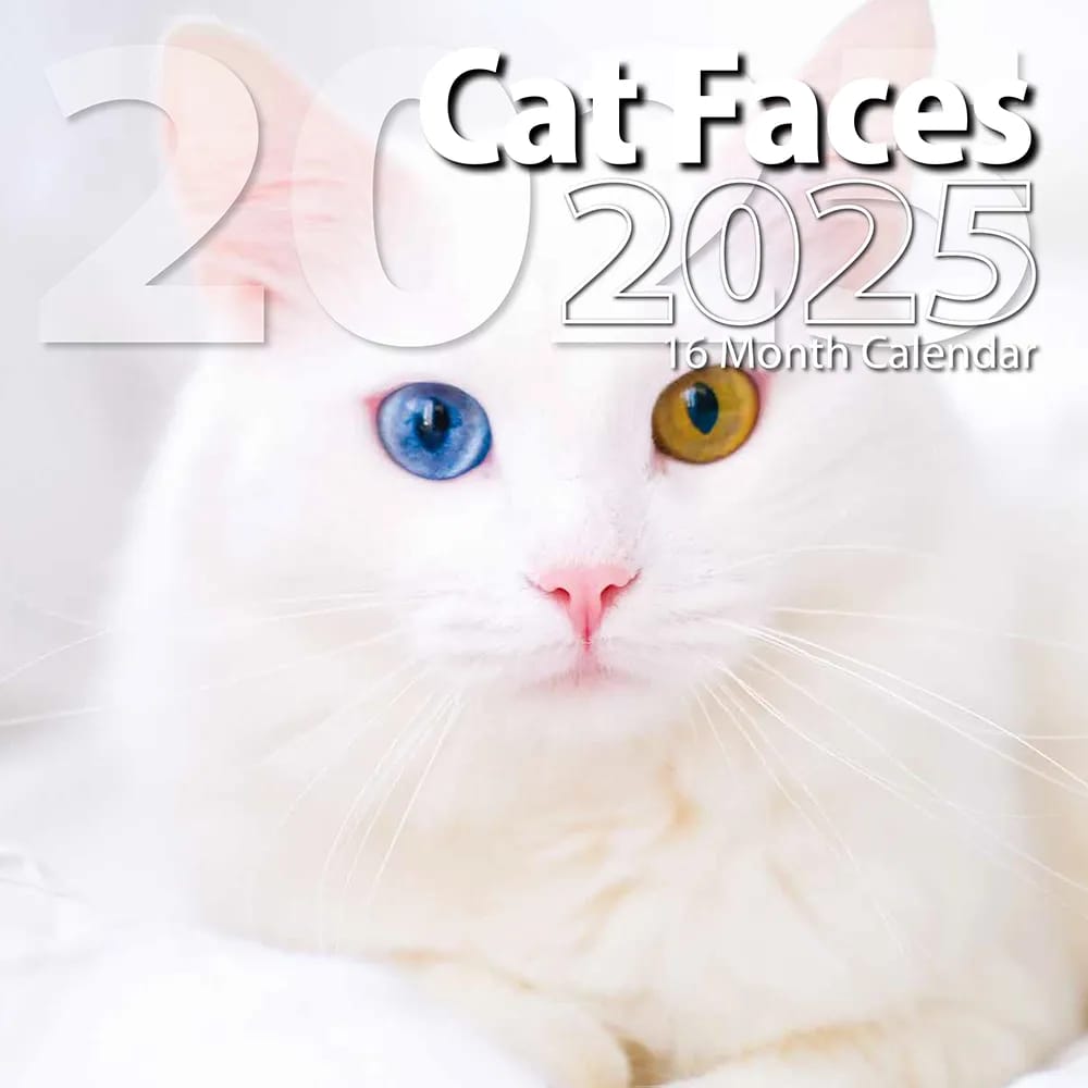 2025 Cat Faces Themed 16-Month Wall Calendar, 12"