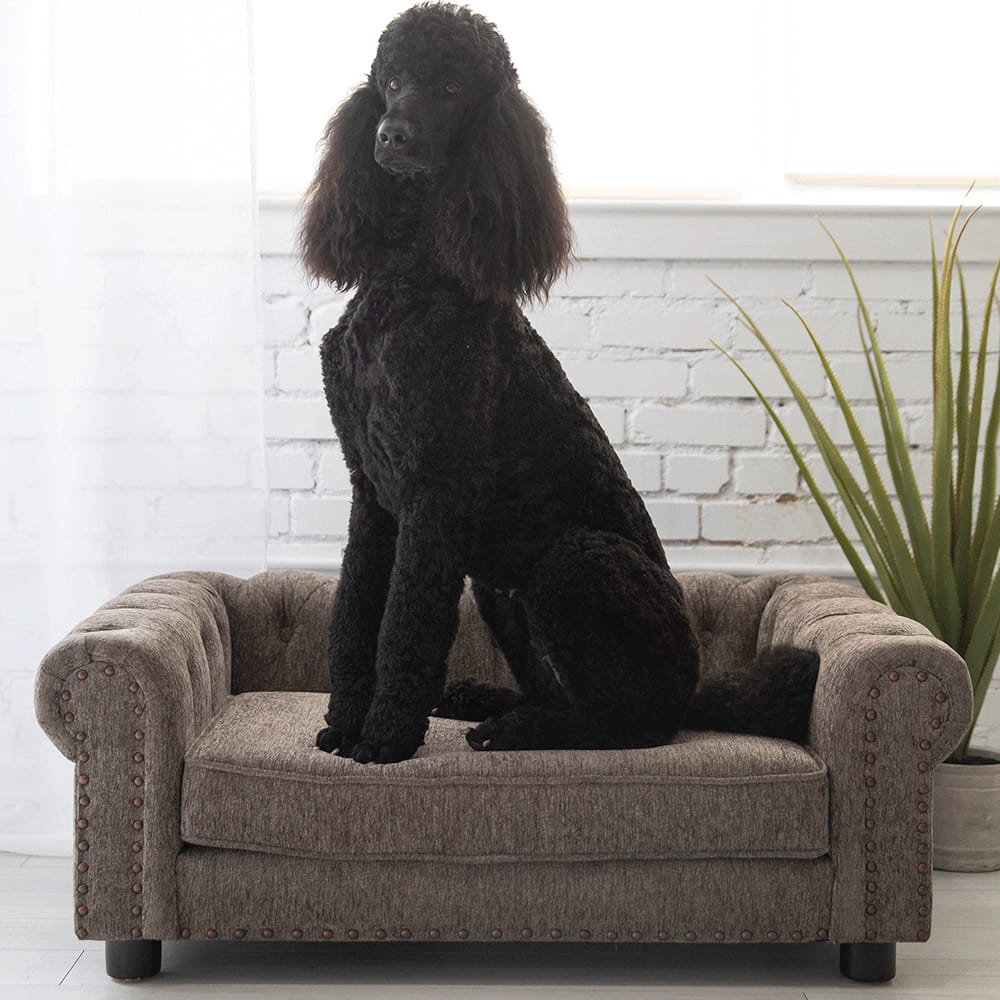 La-Z-Boy Newton Pet Sofa, Granite