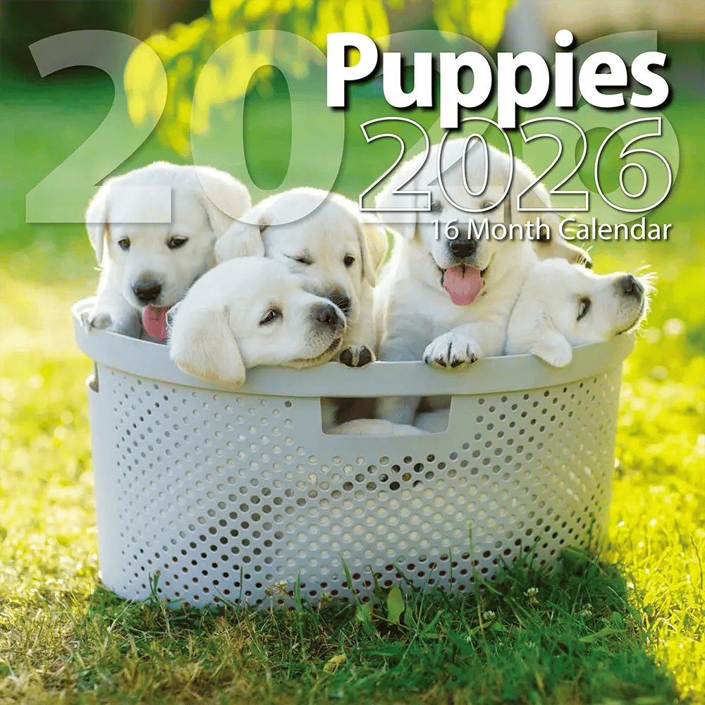 2026 Puppies Themed 16 Month Wall Calendar, 12"