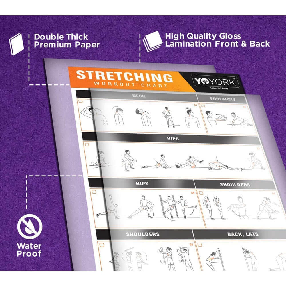 YoYork Laminated Home Stretching Exercise Chart with 10 Workout Cards