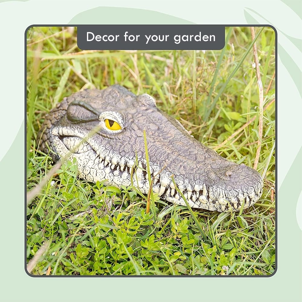 Floating Crocodile Head