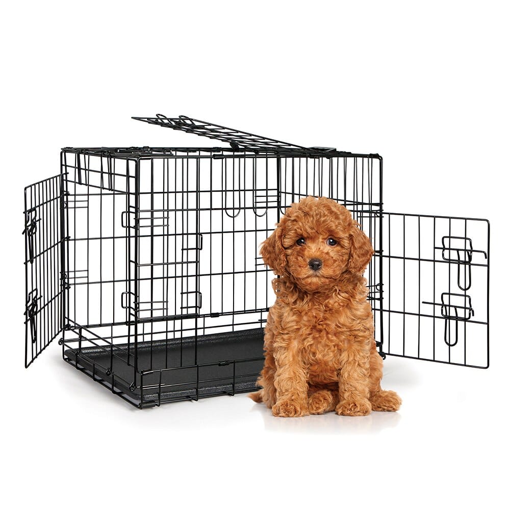 3 door dog crate kennel best sale