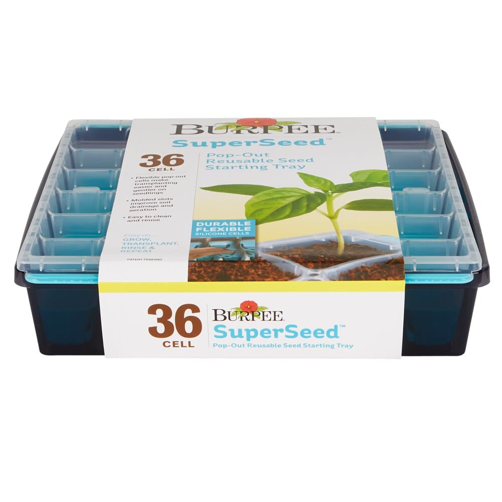 Burpee SuperSeed PopOut Reusable Seed Starting Tray, 36Cell