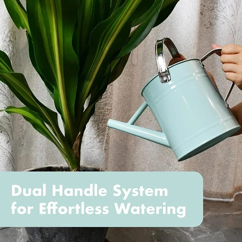 Homarden 1/2 Gallon Watering Can, Teal
