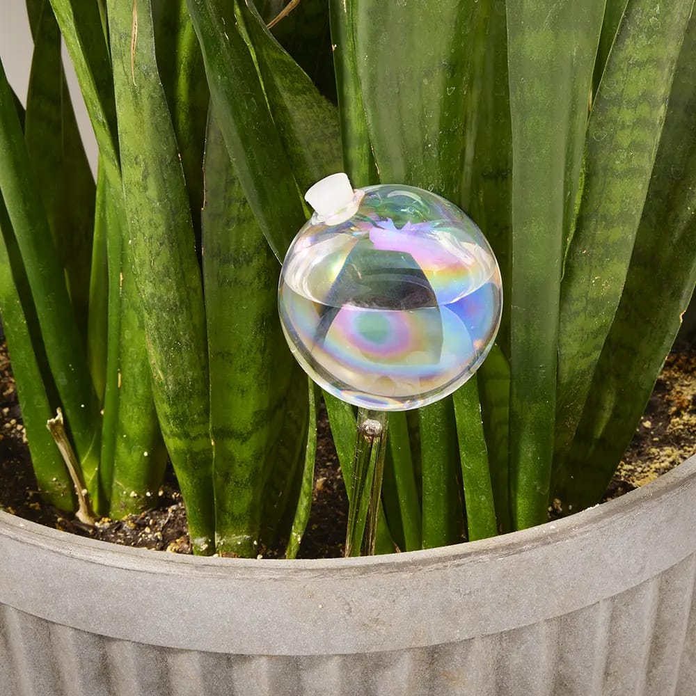 Self Watering Glass Globe, 2.7"