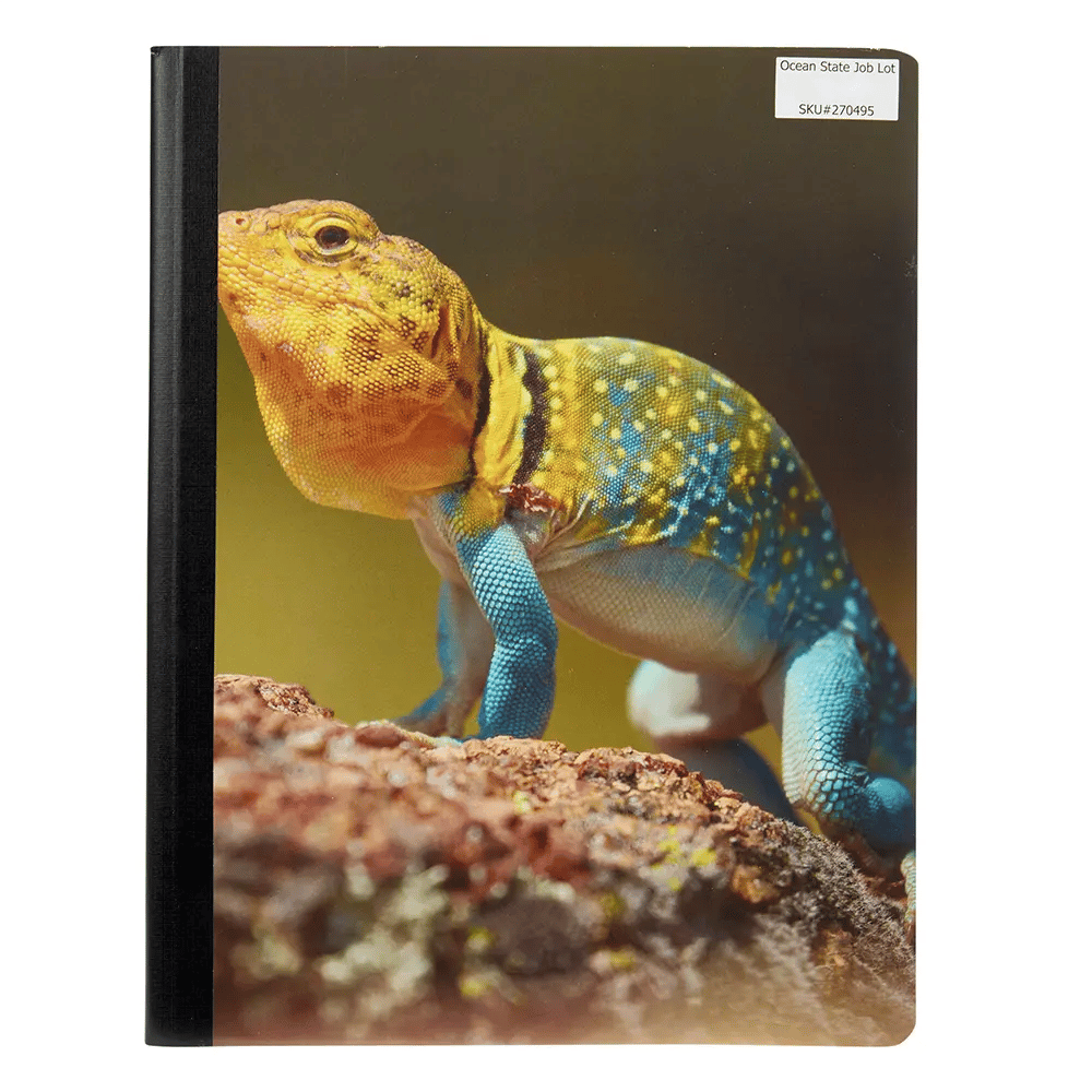 Lizard Composition Notebook, 100 Sheets, 5" x 7"