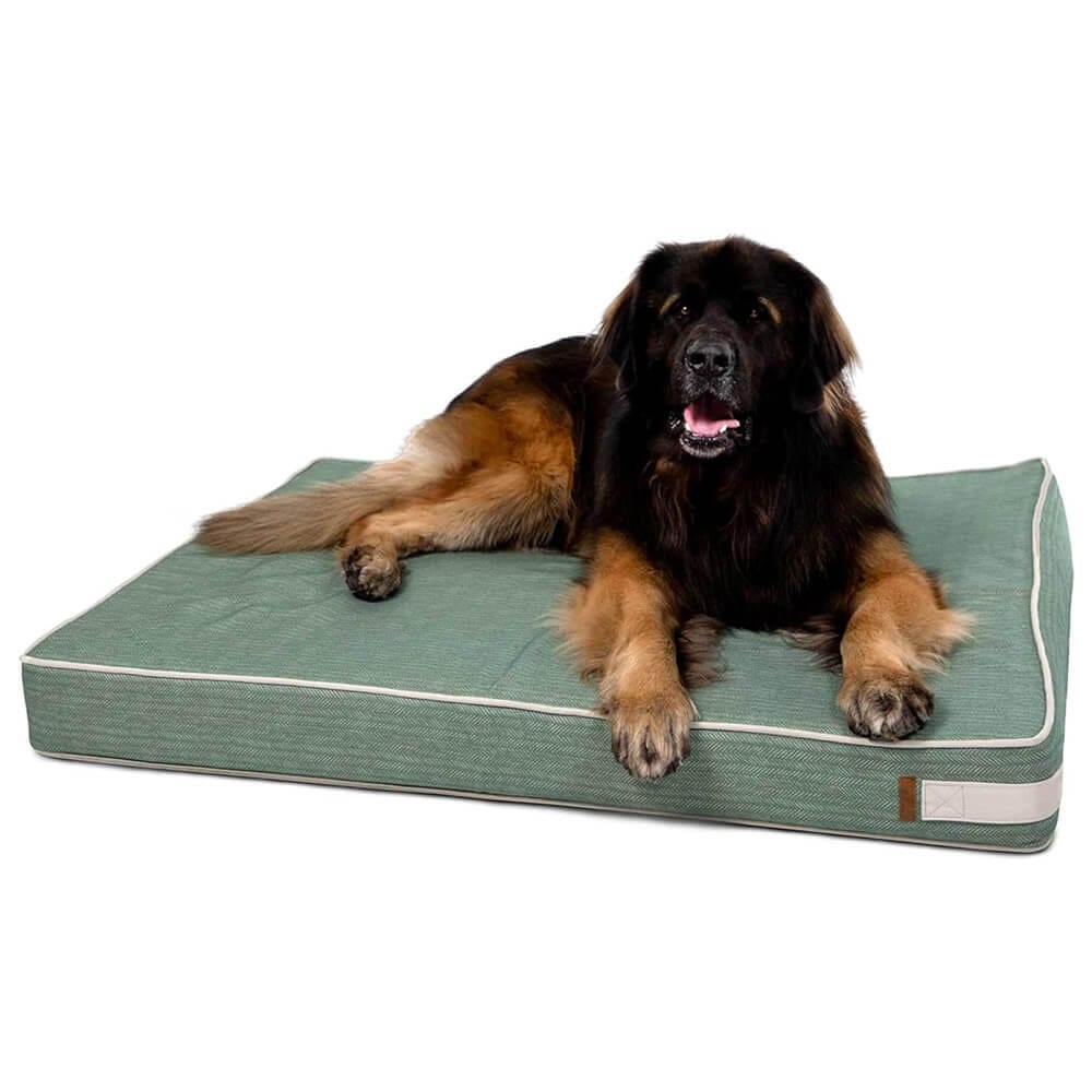 Bark & Slumber XL Foam Lounger Dog Bed, Ollie Green