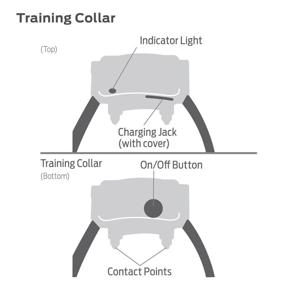 Premier Pet 400 Yard Trainer