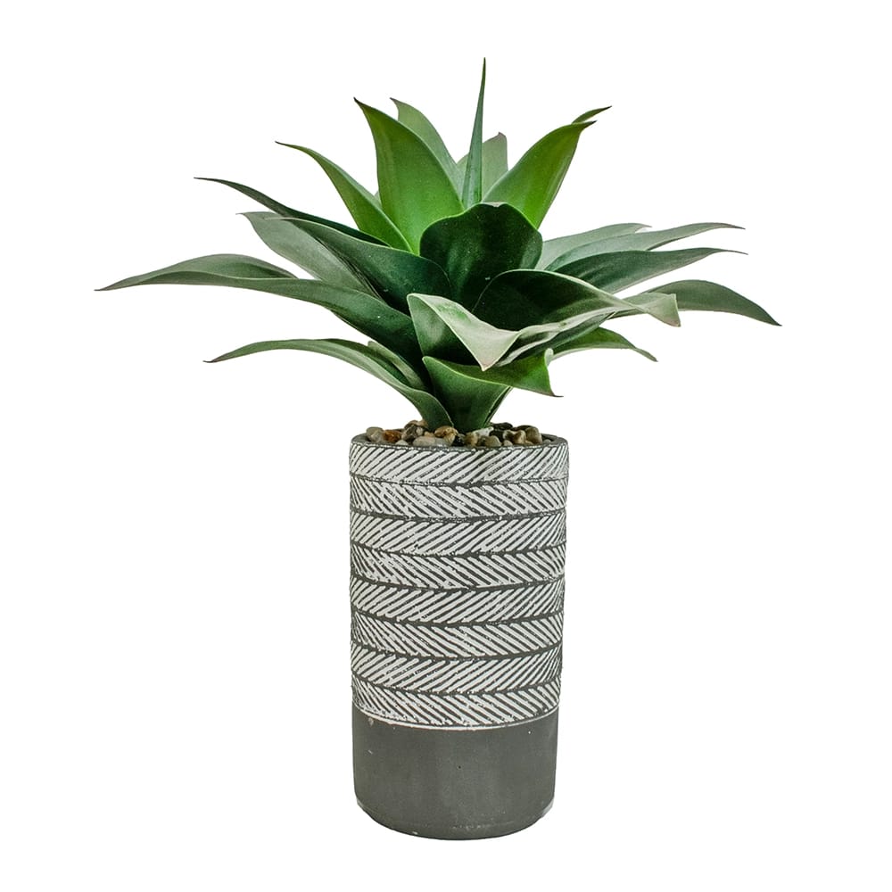 Vintage Home 19" Agave Plant in Cement Basket