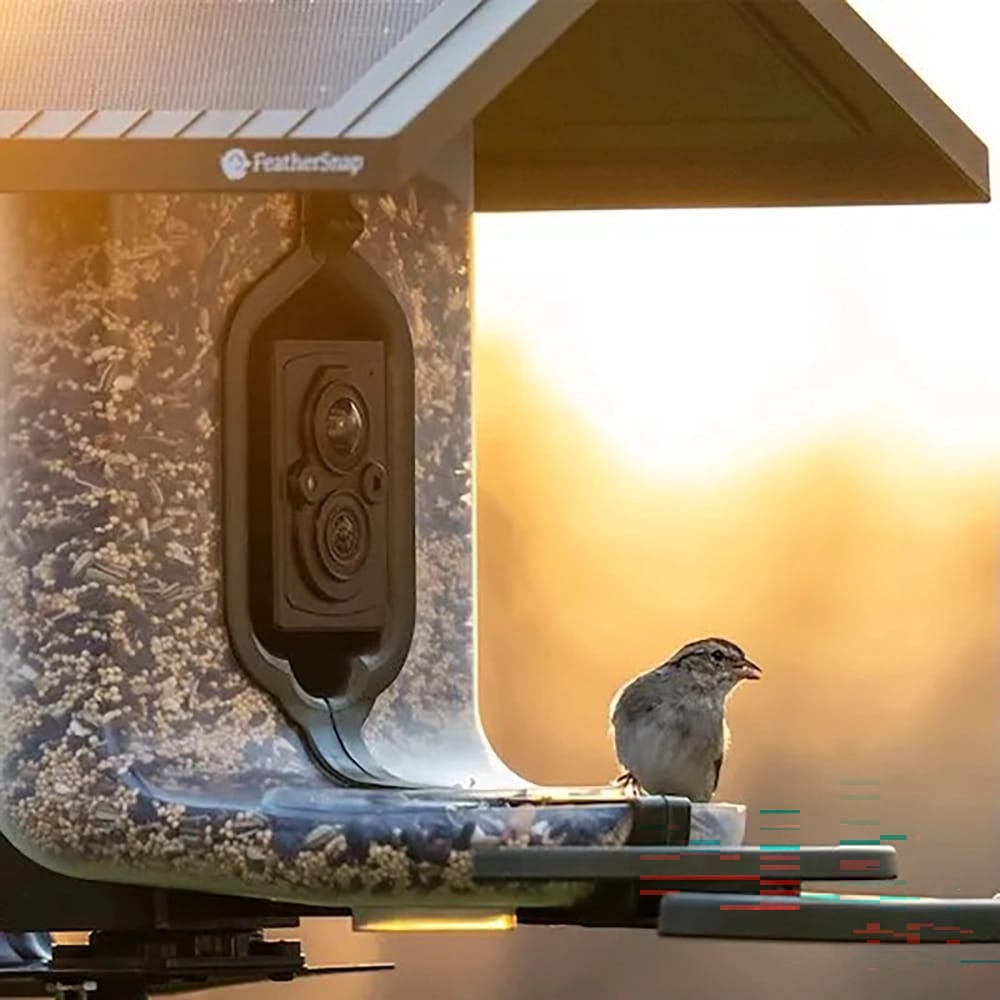 FeatherSnap Seed Feeder