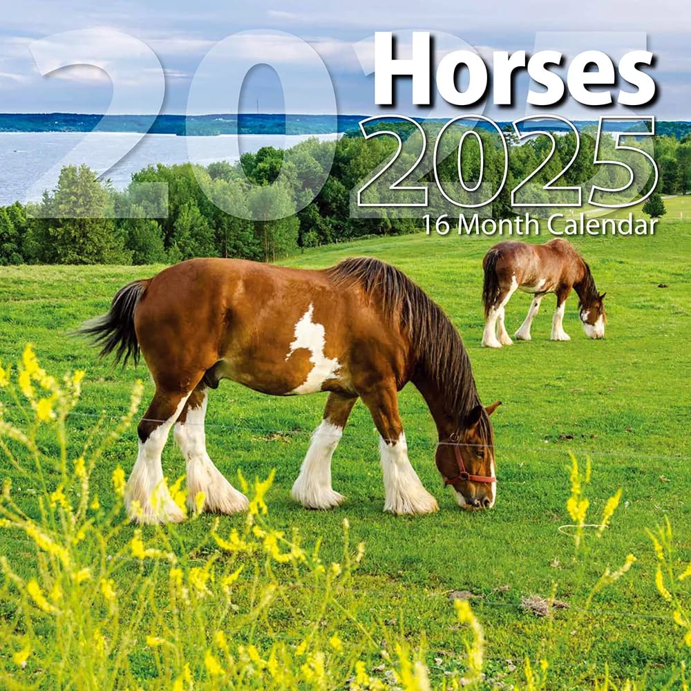 2025 Horses Themed 16 Month Wall Calendar, 12"