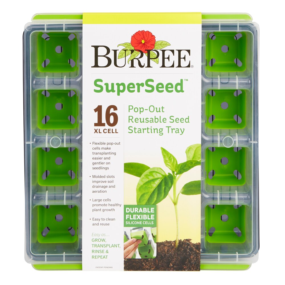 Burpee SuperSeed Pop-Out Reusable Seed Starting Tray, 16XL-Cell