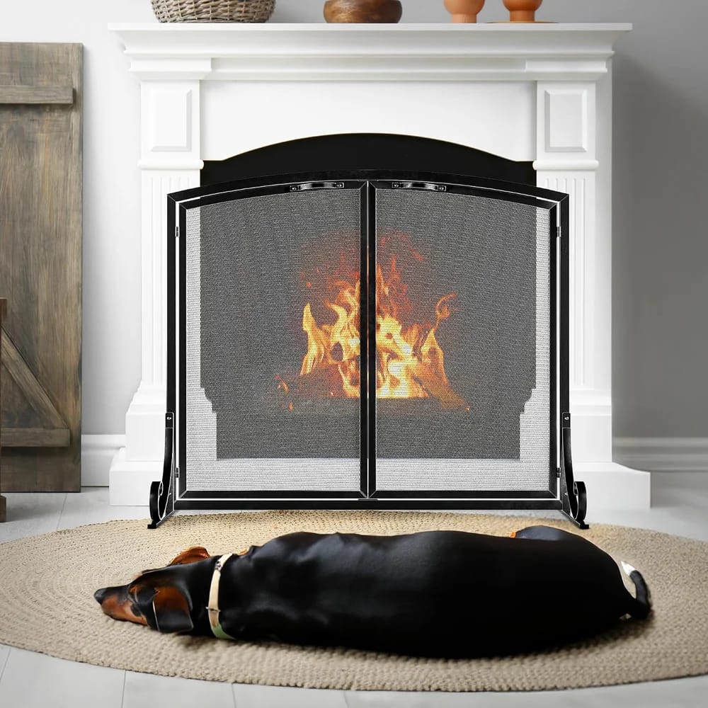 Idzo Fireplace Screen with Doors, Black