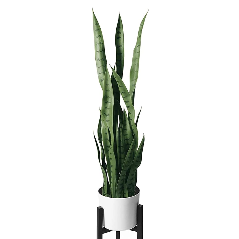 Winbold Artificial Fake Snake Plant