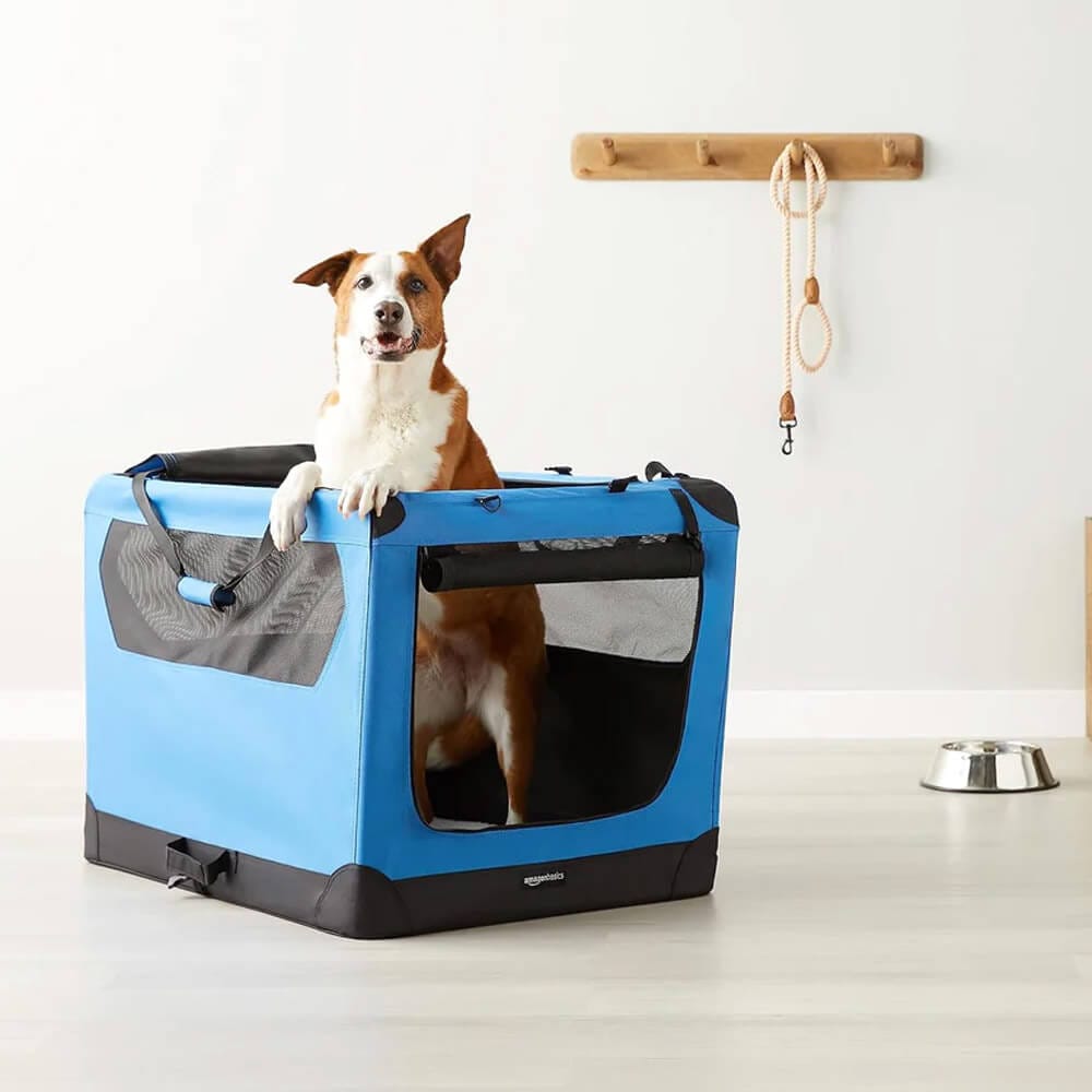 Foldable Soft-Sided Pet Carrier, 36" x 24" x 24", Blue