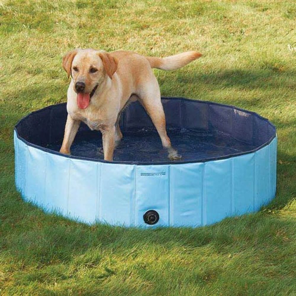 Cool Pup Splash About Large Portable Dog Pool, Blue