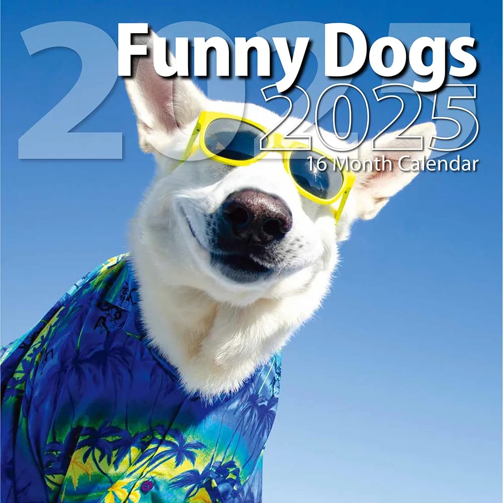 2025 Funny Dogs Themed 16 Month Wall Calendar, 12"