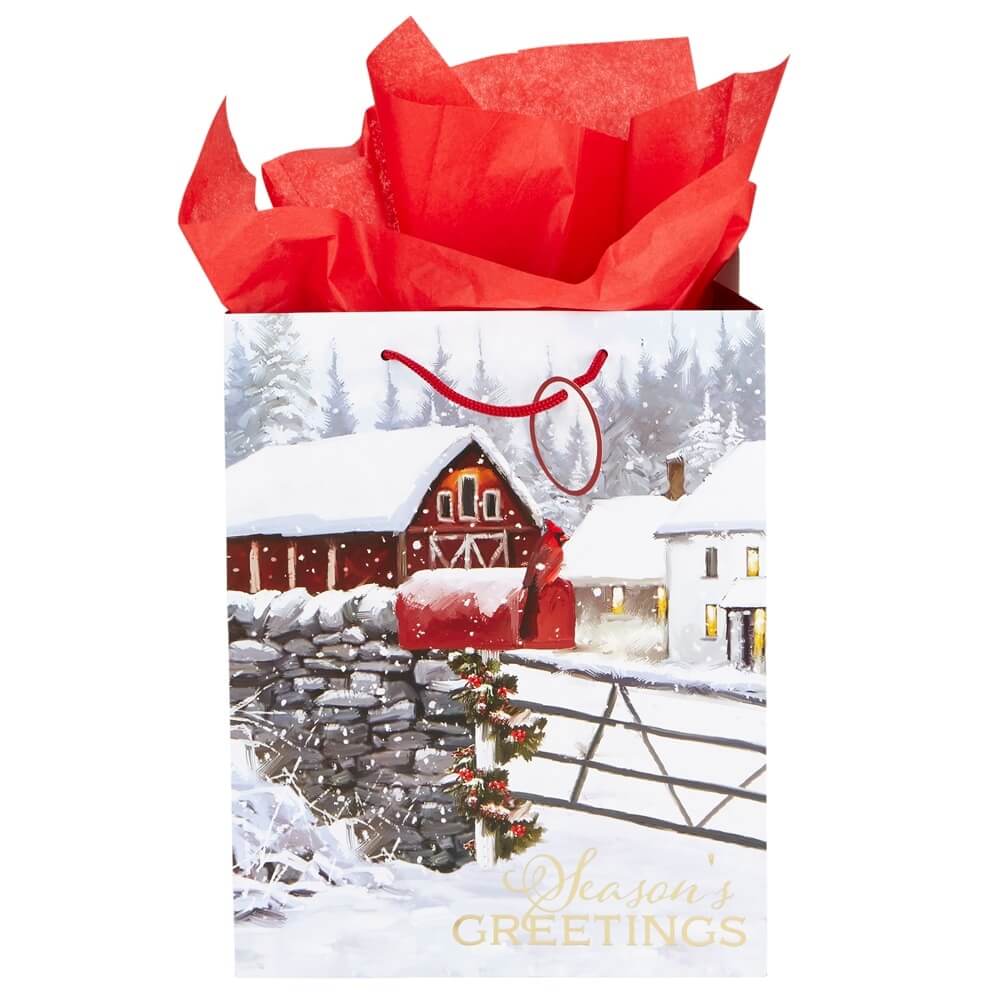 Large Traditional Christmas Gift Bag