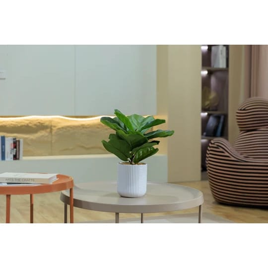 Vintage Home 18" Fiddle Leaf Fig Trees in White Ceramic Pots, 2 Count