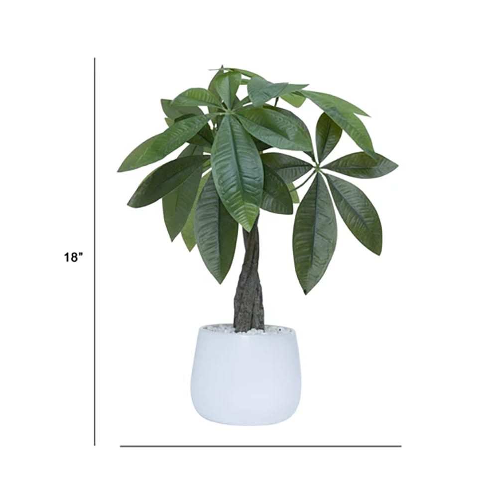 Vintage Home 18" Money Trees in Modern Ceramic Vases, 2 Pack