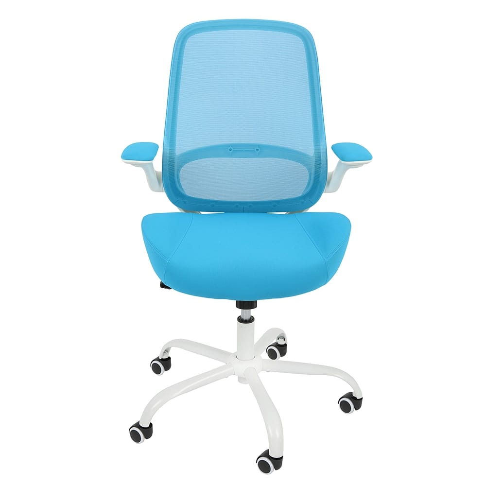 HYLONE Ergonomic Desk Chair with Flip up Armrests, Blue