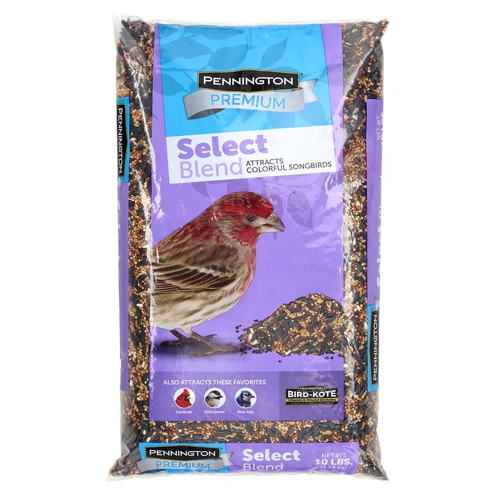 Pennington Premium Select Blend Bird Seed, 10 lb