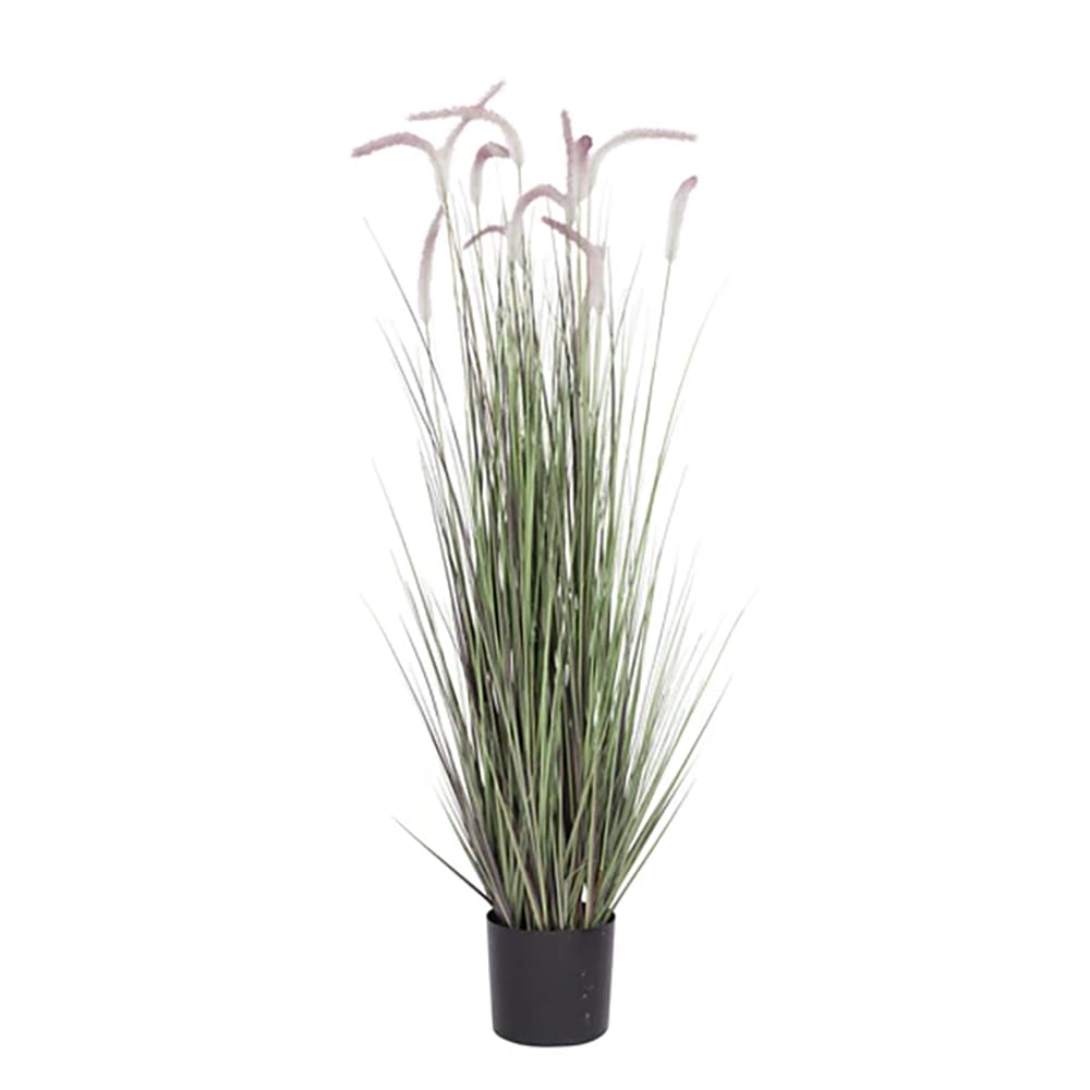 Vintage Home 60" Foxtail Grass