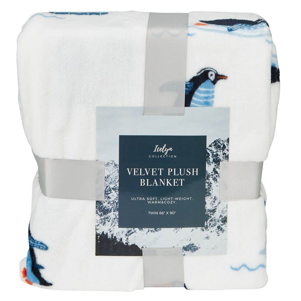 Winter Themed Twin Velvet Plush Blanket