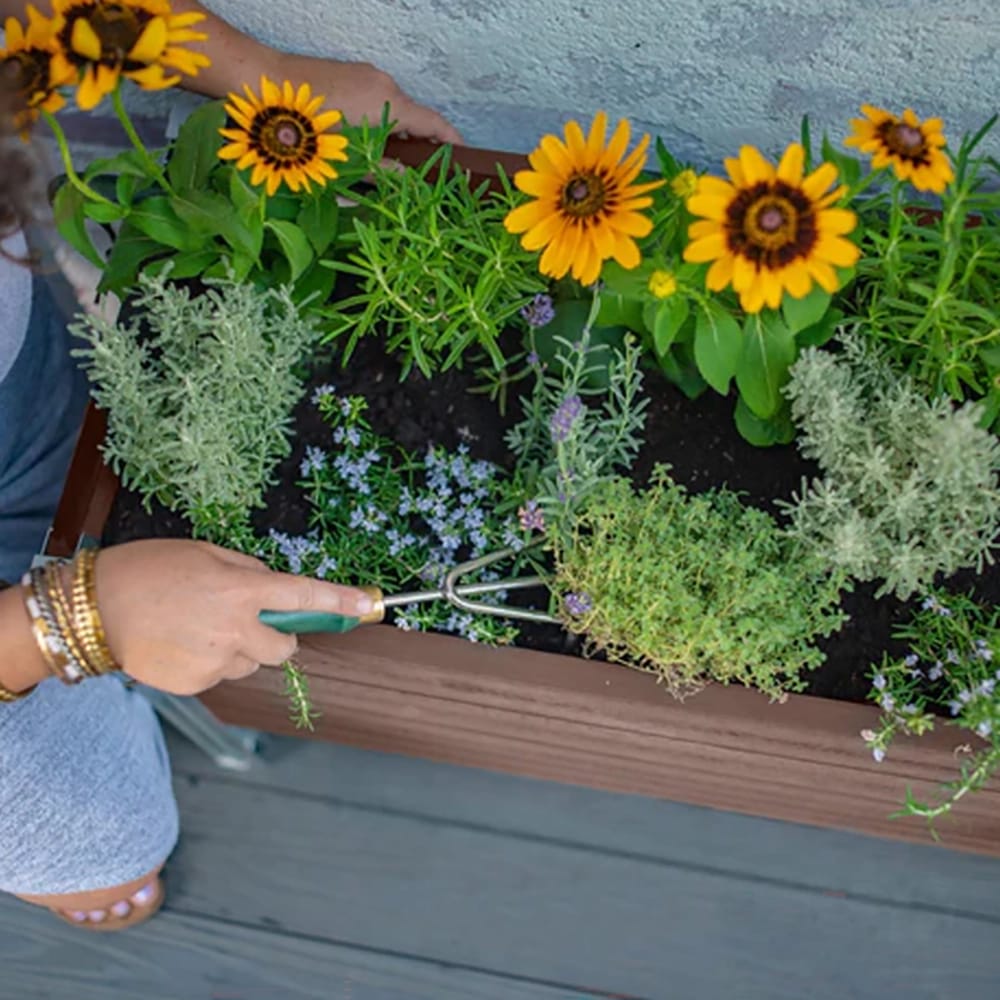 Vita Urbana Greens Elevated Garden, Espresso