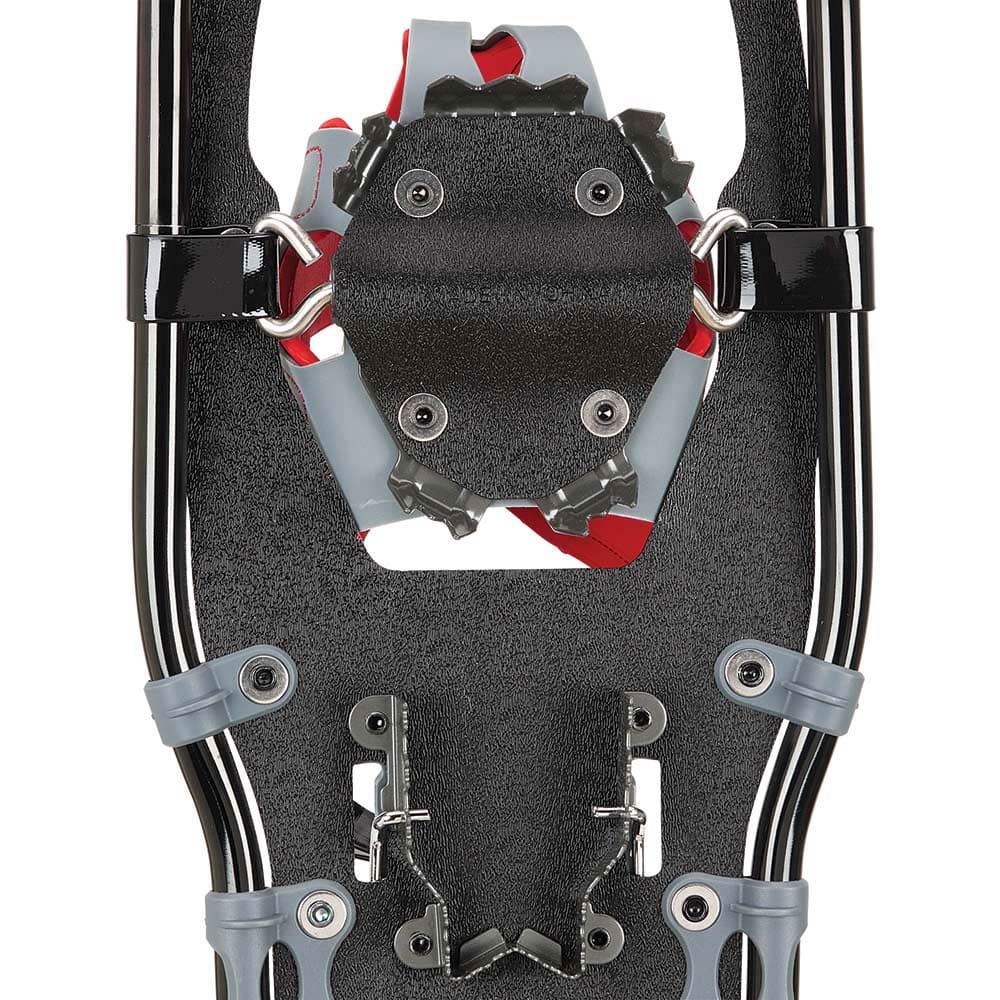 White Mountain Adult Snowshoe Traverse, 8" x 25"