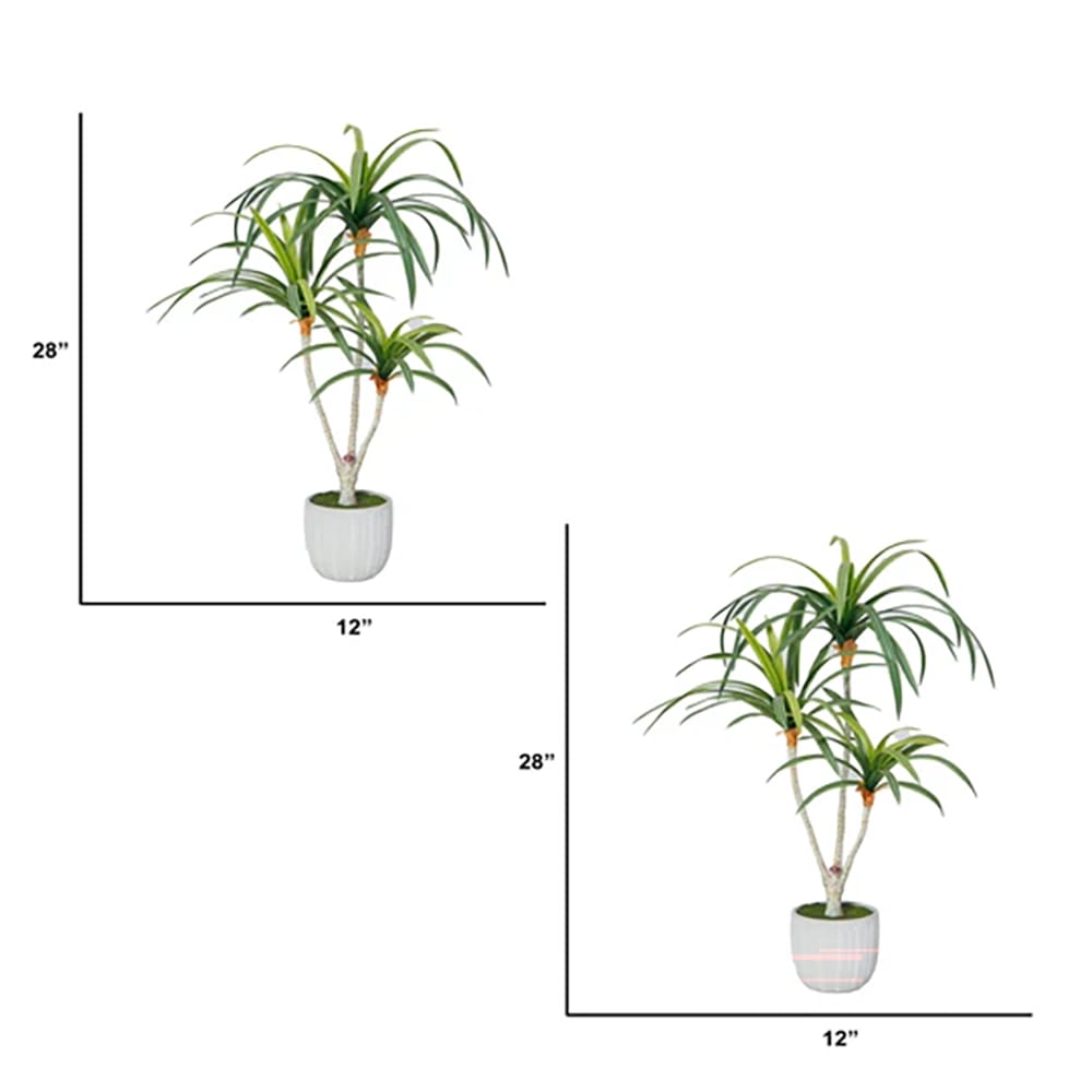 Vintage Home 28" Dracaena Tree, 2 Pack