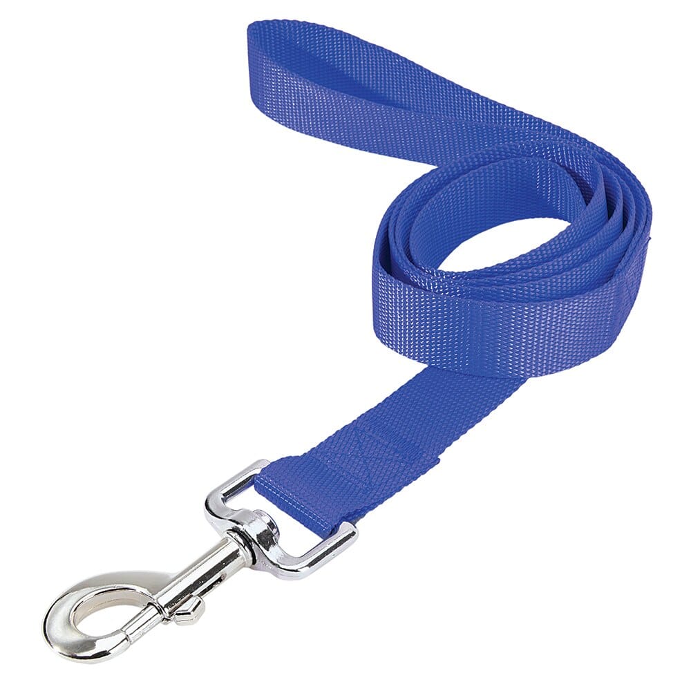 Pet Leader 1" x 4' Pet Leash in Blue