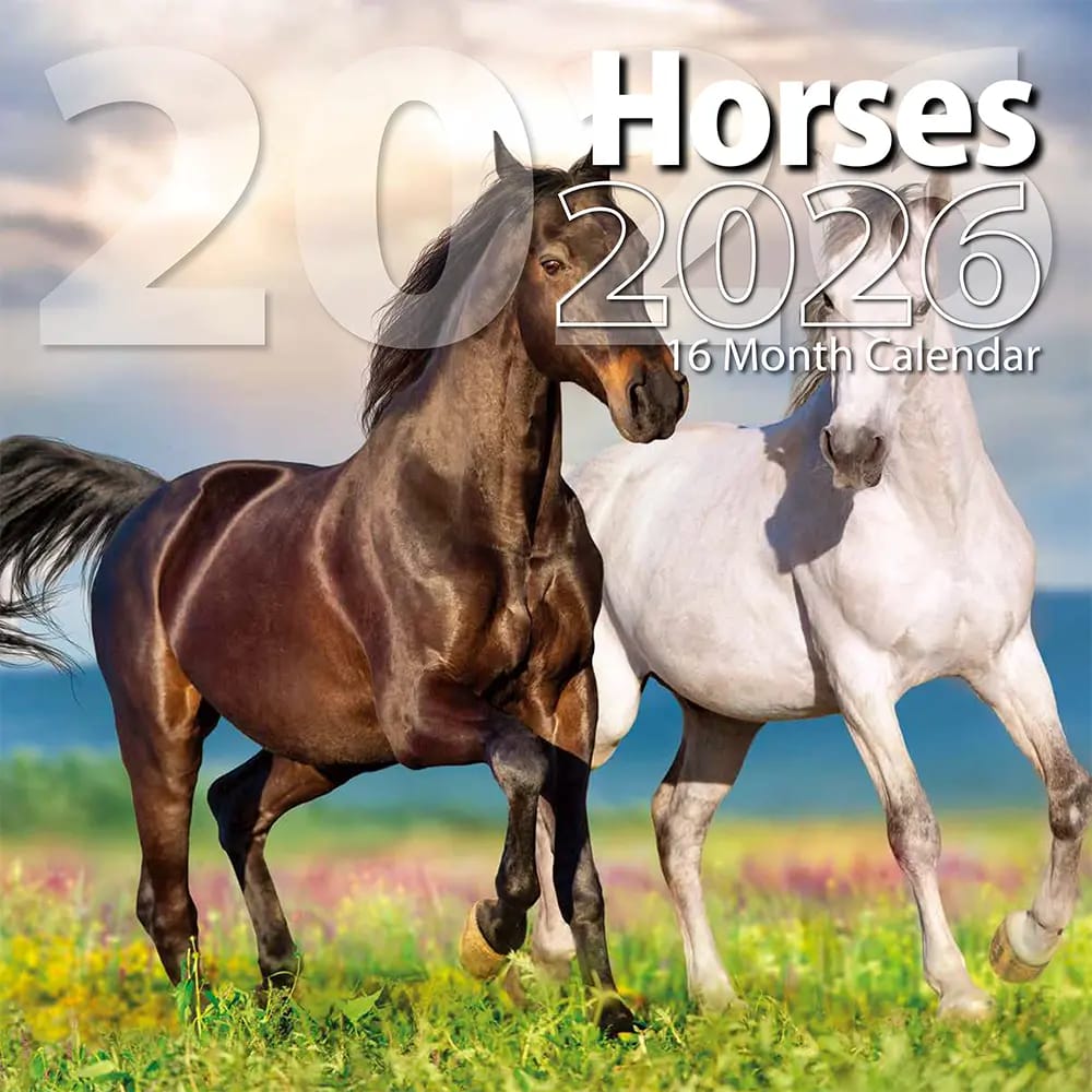 2026 Horses Themed 16 Month Wall Calendar, 12"